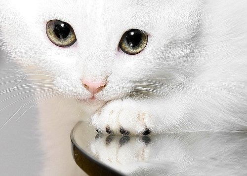 Наталия Юдо