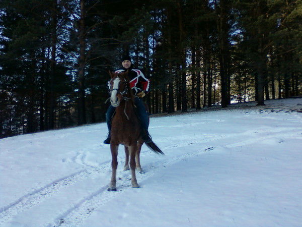 Сергей Сергей