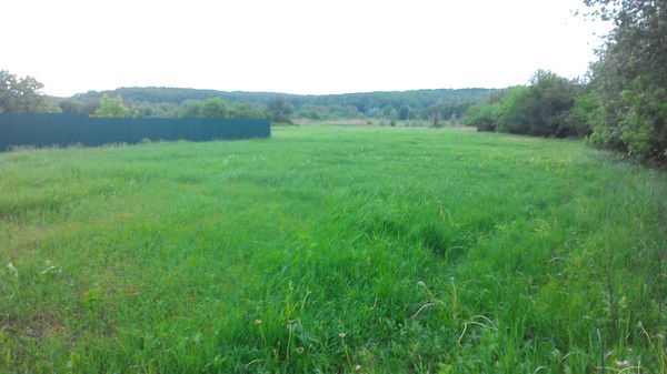 Сергей Шишкин