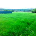 Сергей Шишкин