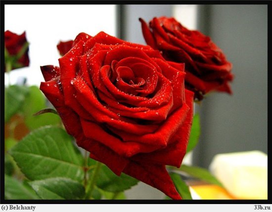 Гульмира Бексултанова