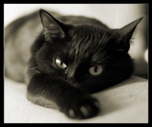 Екатерина Асташкина