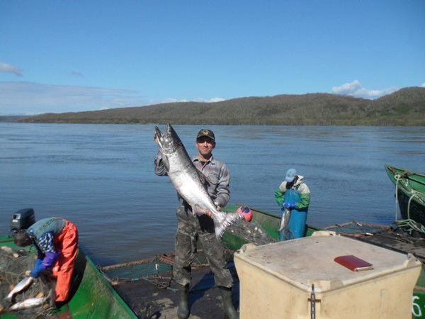 Владимир Янишевский