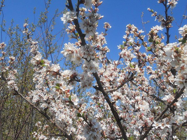 Любовь Васильева