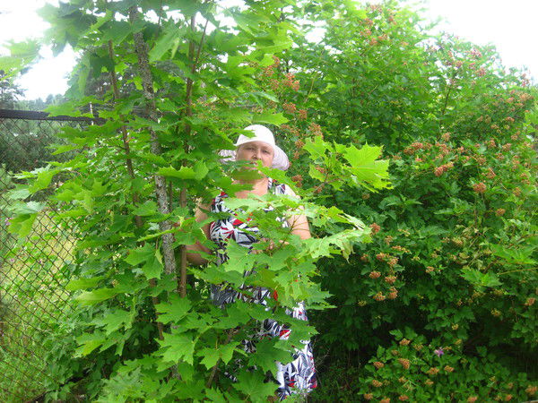 Ирина Гневашева