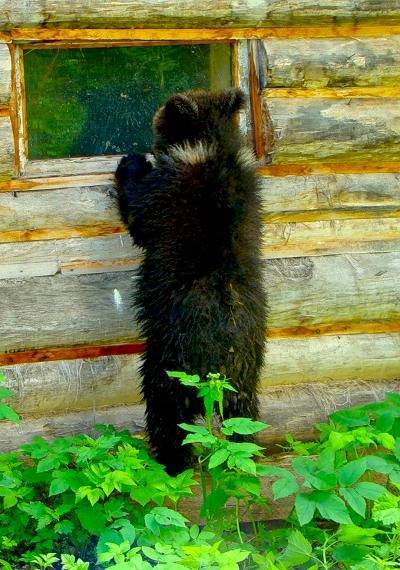 Олег Журавлев