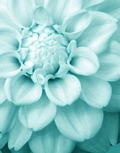 Софья Чуракова