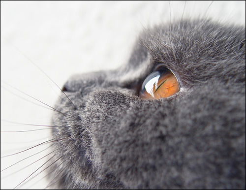 Данила Мизин