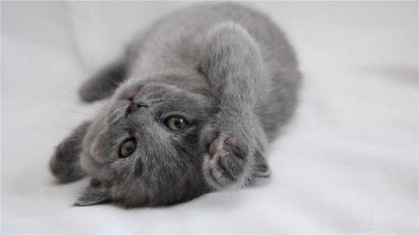 Оксана Пинигина