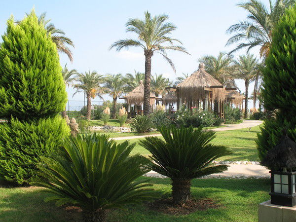 Алексей Семибратов