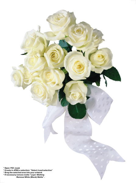 Ольга Золотарева (Фисенко)