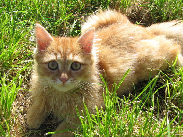 Людмила Иванова