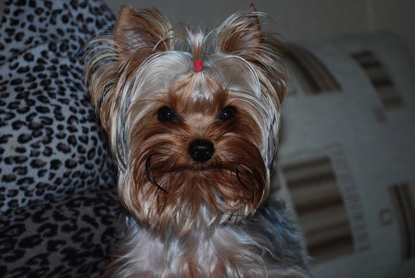 Людмила Самородова