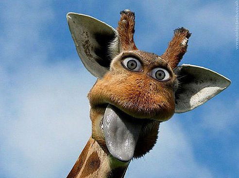 Павел Киселев