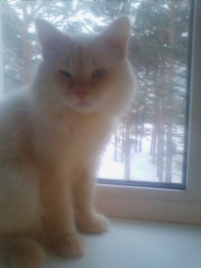 Данил Заложных