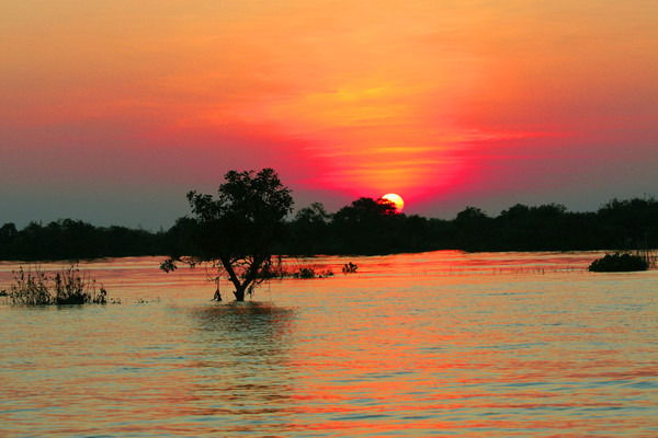 Наранцэцэг Даш