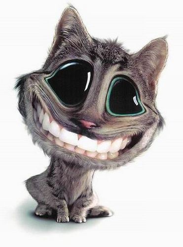 Татьяна Шатовкина