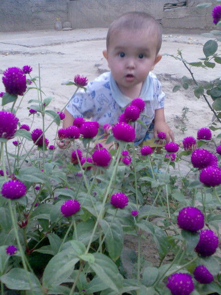 Зафар Насиров