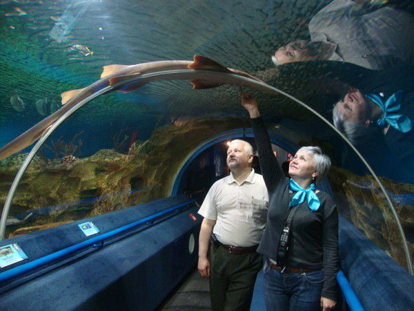 Елена Иневатова