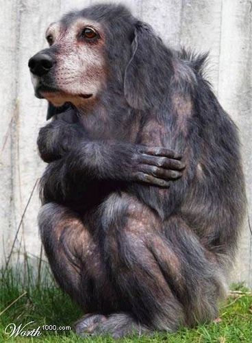 Евгений Толкачев