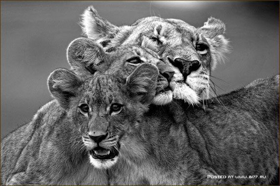 Катрин Матвеева