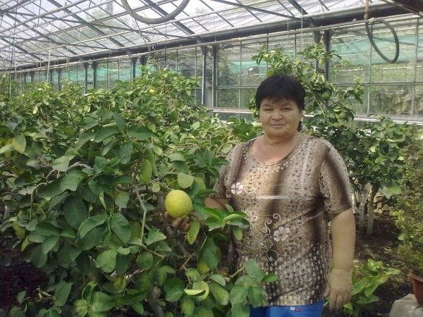 Людмила Ермолаева