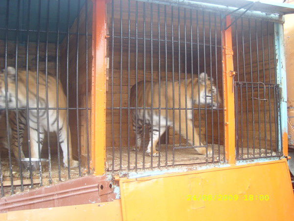 Эдуард Сахаров