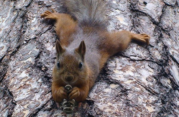 Веруська Воропаева