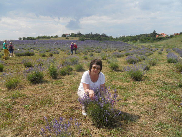 Светлана Морозова