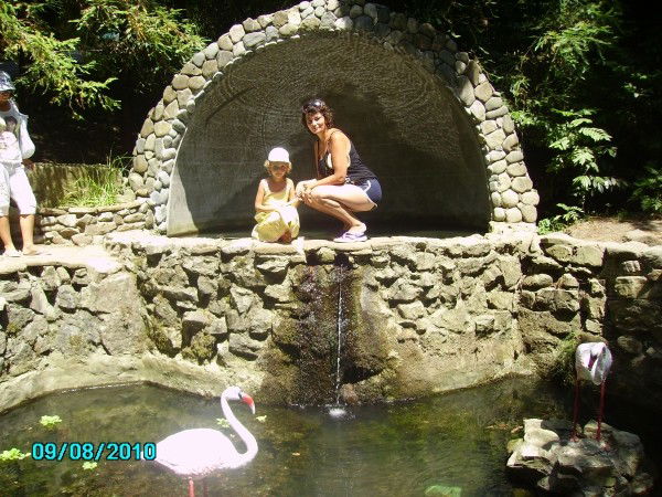 Наталья Долгушева