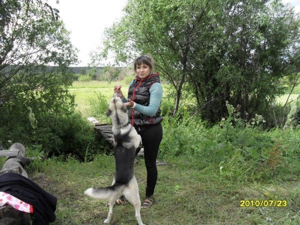 Настена Устинова