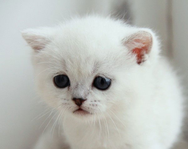 Татьяна Коломиец