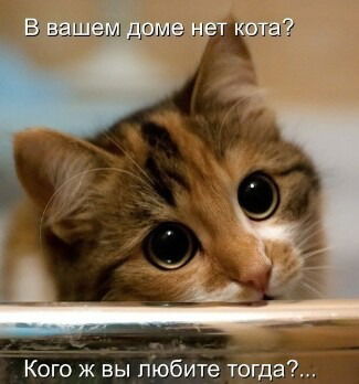 Геннадий** Рябченко