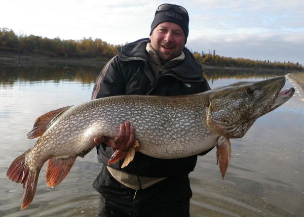 Константин Сигидис