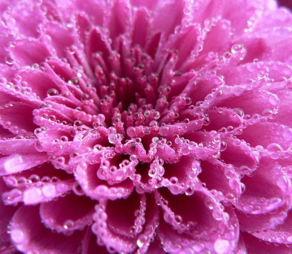 Жаркын Сарсенова