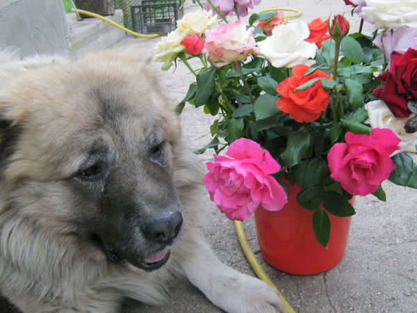 Андрей Ильин