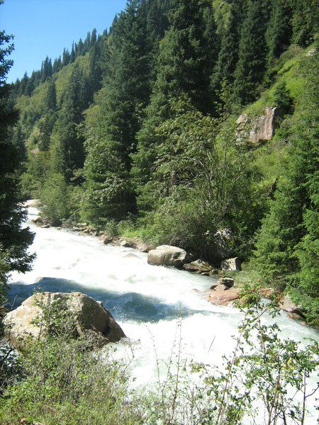 Оксана Решетникова