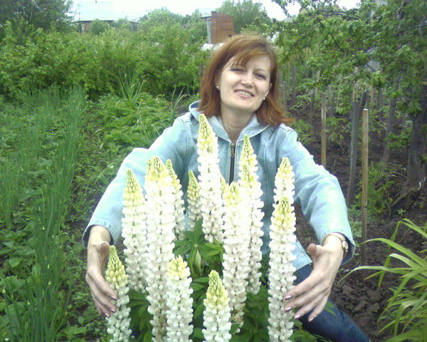 Лариса Чернякова