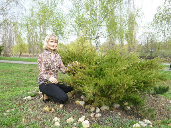 Ириска Ириска