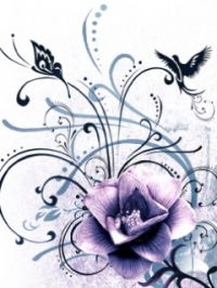 Даша Тарасёнок