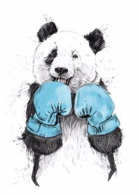 Диана Михайлова