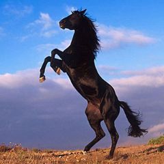 Константин Балькин