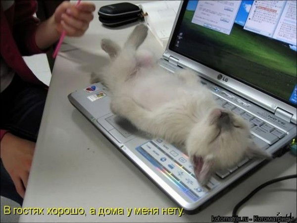 Ольга Дядюра (Карауш)