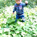 Saparbay Muhammedov