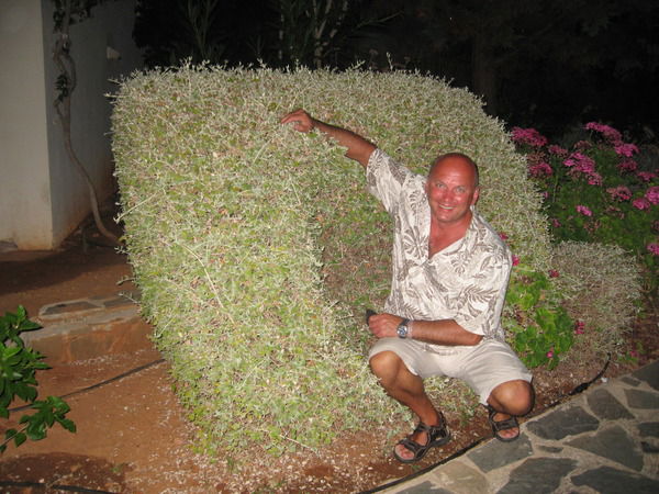 Владимир Тихонов