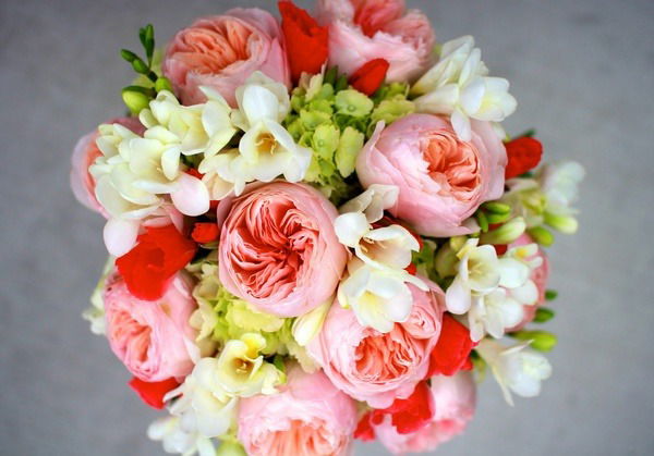 Евгения Шестопалова