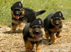 Андрей Баканов