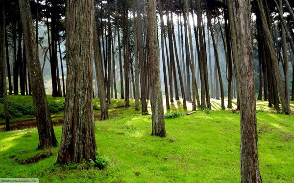 Саидмуртазо Саиджафаров