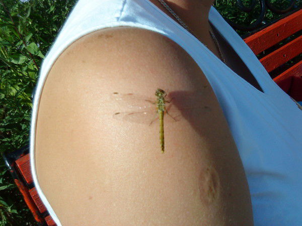 Наталья Петроченко