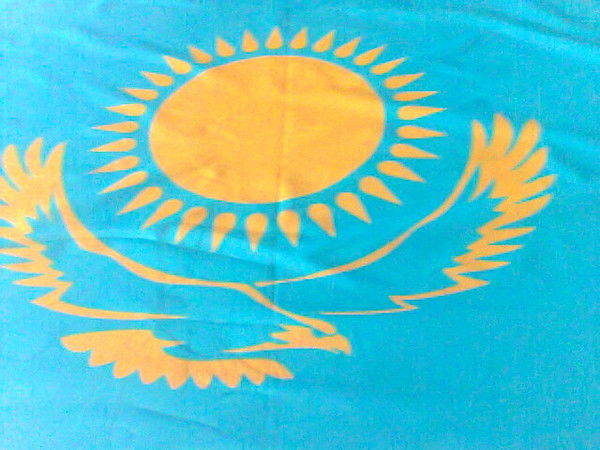 Дамир Ахметов